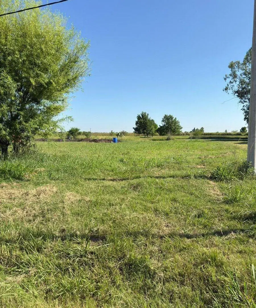 VENTA DE LOTE AL NORTE DE NUEVO TORINO 2
