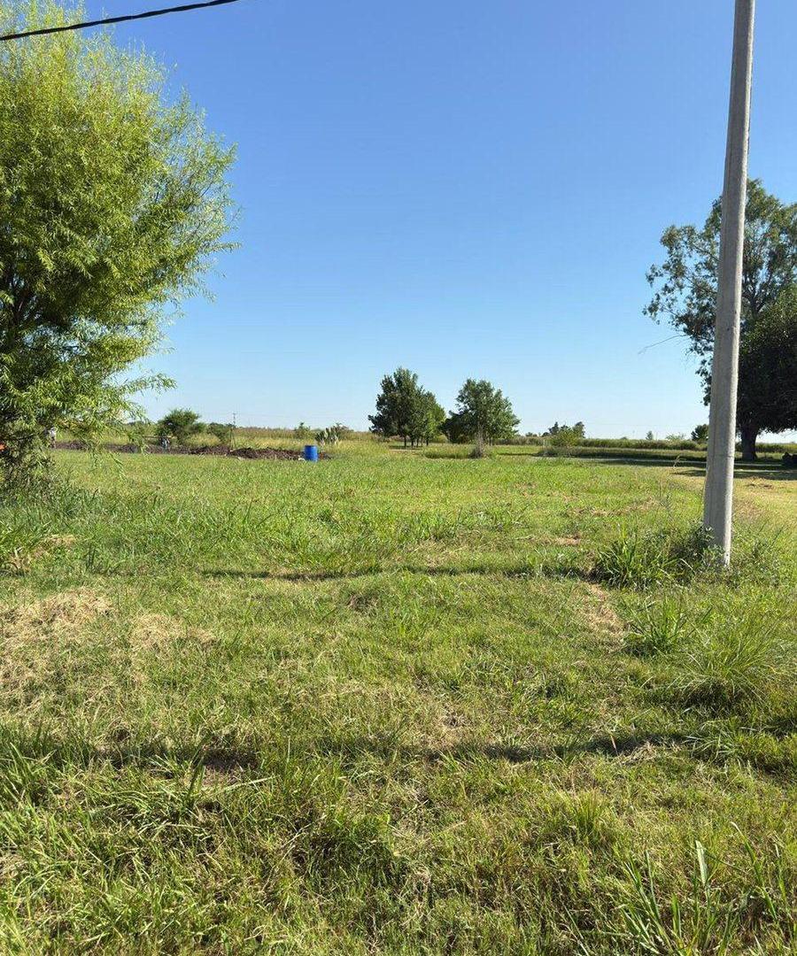 Foto de VENTA DE LOTE AL NORTE DE NUEVO TORINO, imagen 3