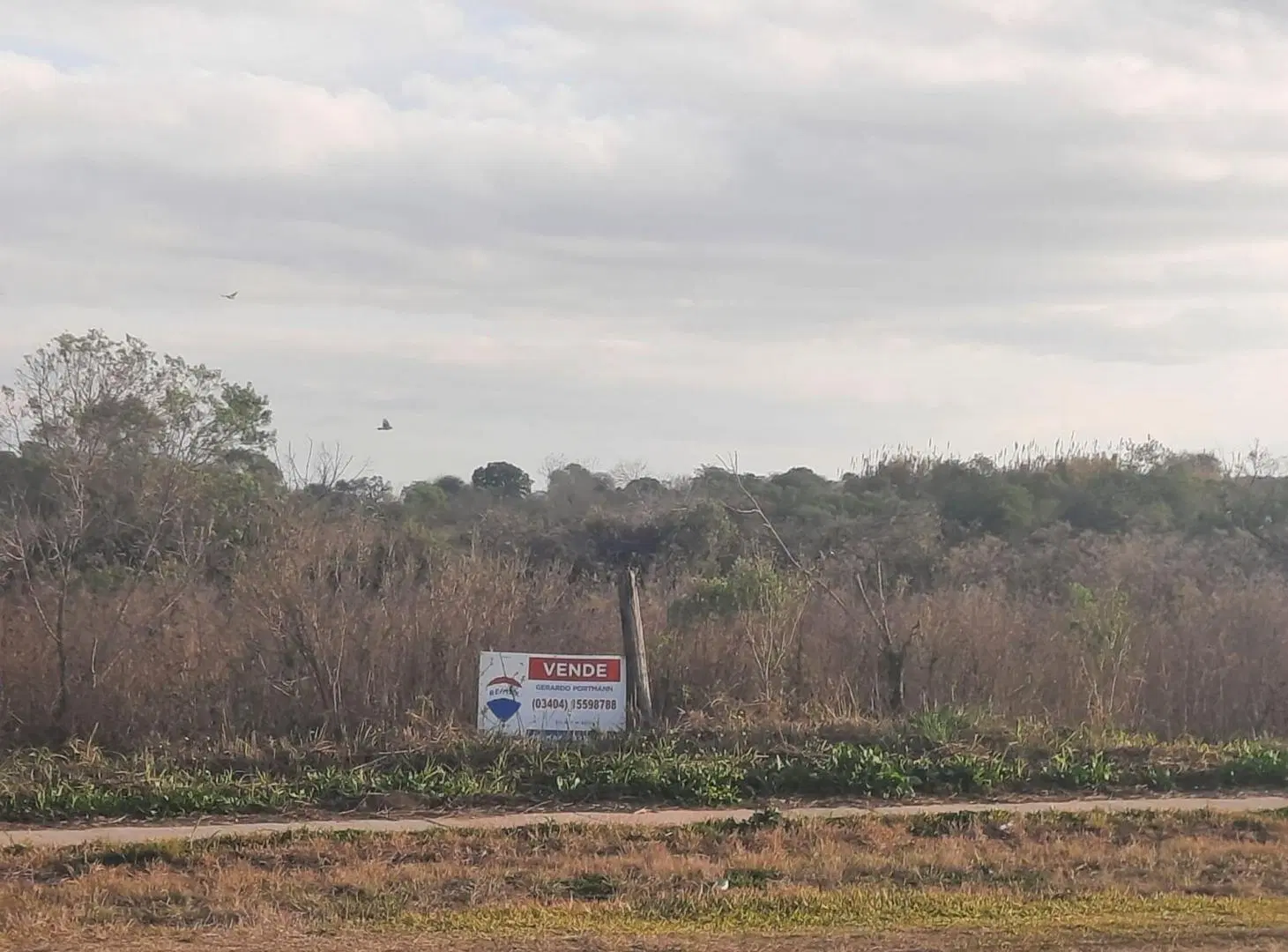 venta de 2 ha sobre ruta 70 4