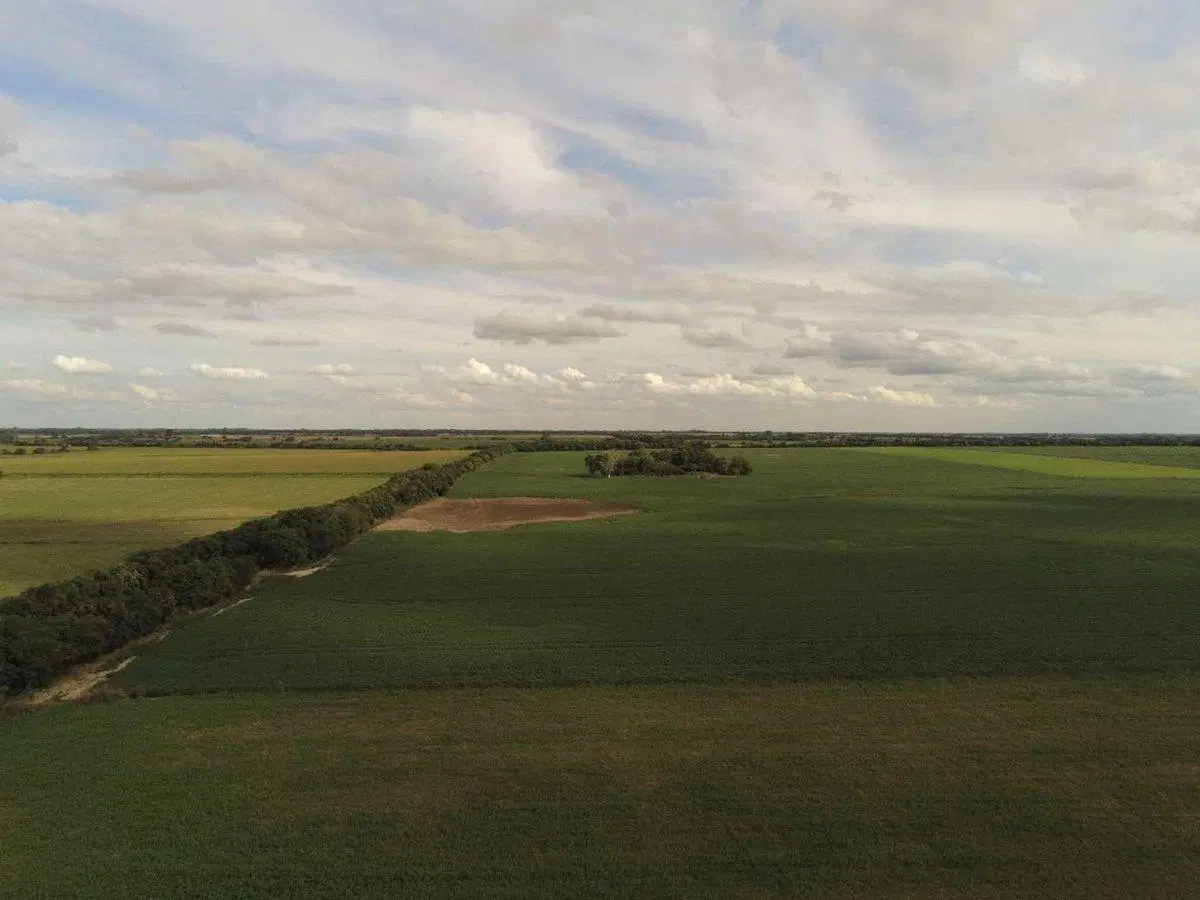 VENTA CAMPO DE 49,21 HAS. EN MARIA LUISA 3