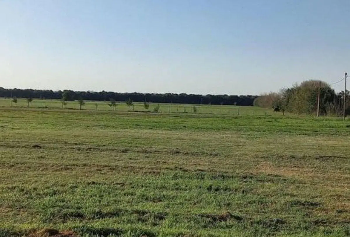 VENTA TERRENO - Lote II - Pujato Norte.- 2