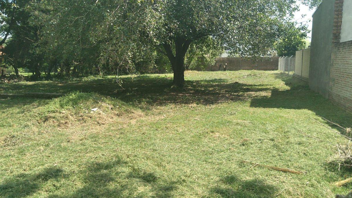 Imagen de la propiedad