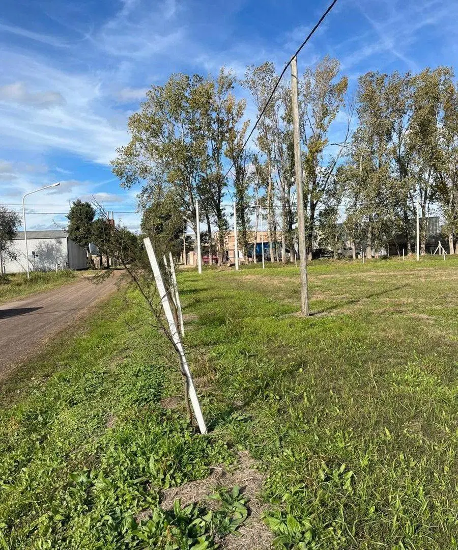 VENTA TERRENO ZONA SUR 2