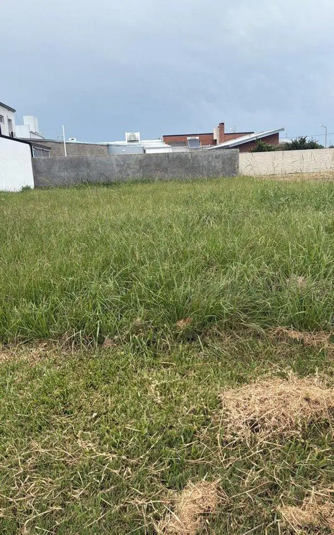 VENTA TERRENO EN BARRIO ESTE SOBRE AV. ARGENTINA 4