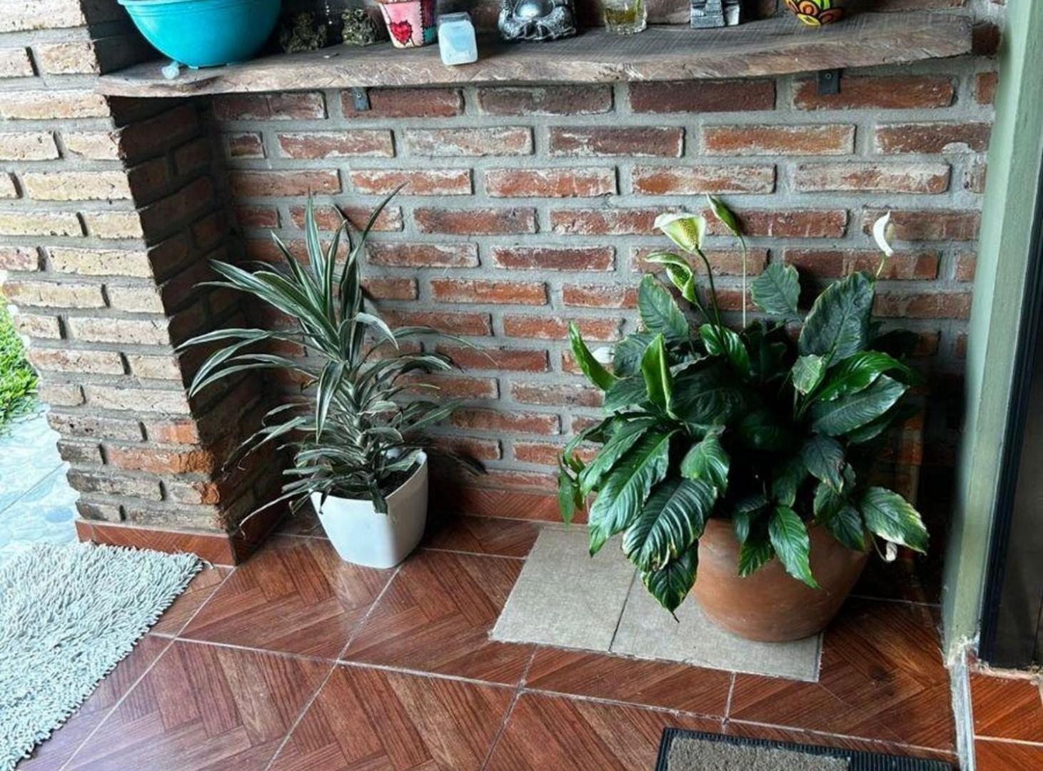 Foto de VENTA CASA QUINTA SAUCE VIEJO, imagen 3