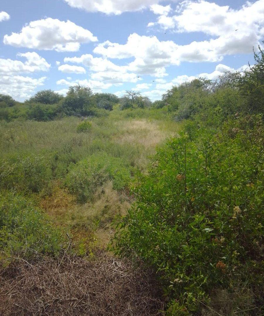 Foto de Venta 238 hectareas ganaderas. La Cabral, imagen 2