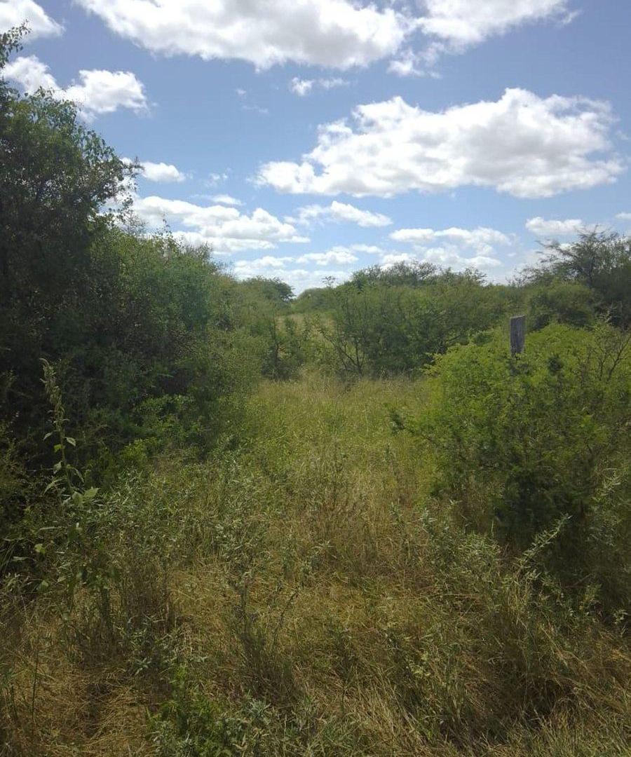 Foto de Venta 238 hectareas ganaderas. La Cabral, imagen 4