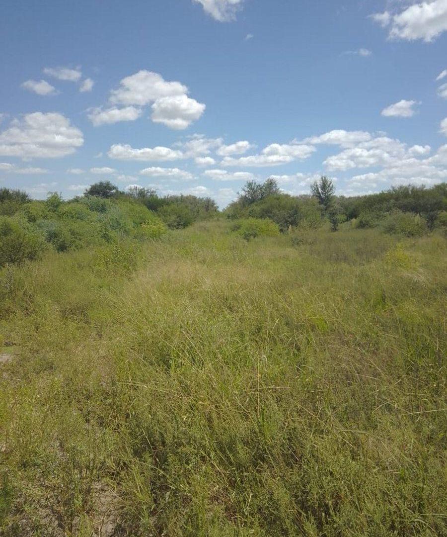 Foto de Venta 238 hectareas ganaderas. La Cabral, imagen 5