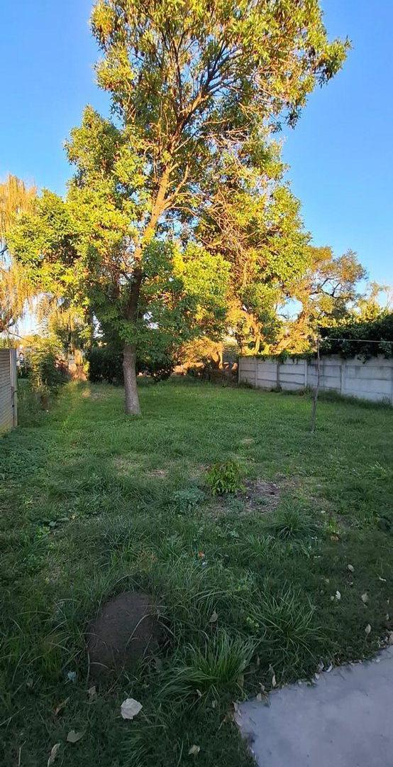 Foto de VENTA CASA 3 DORMITORIOS EN TORINO, imagen 4