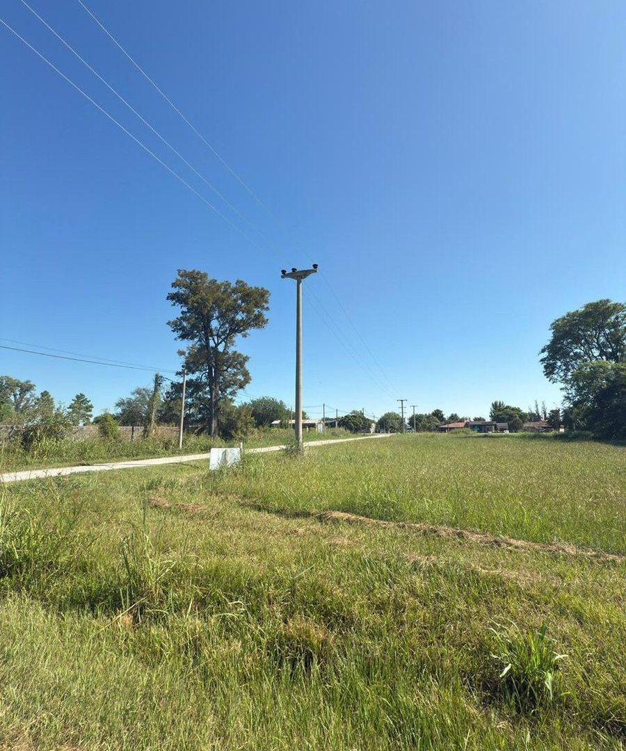 Foto de VENTA TERRENO EN NUEVO TORINO, imagen 2