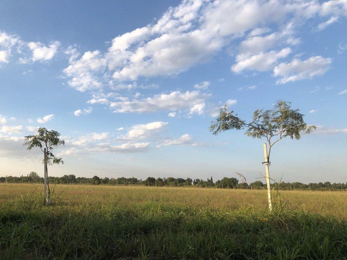 Foto de VENTA DE TERRENO AMPLIO EN BARRIO "EL NACIENTE", imagen 1