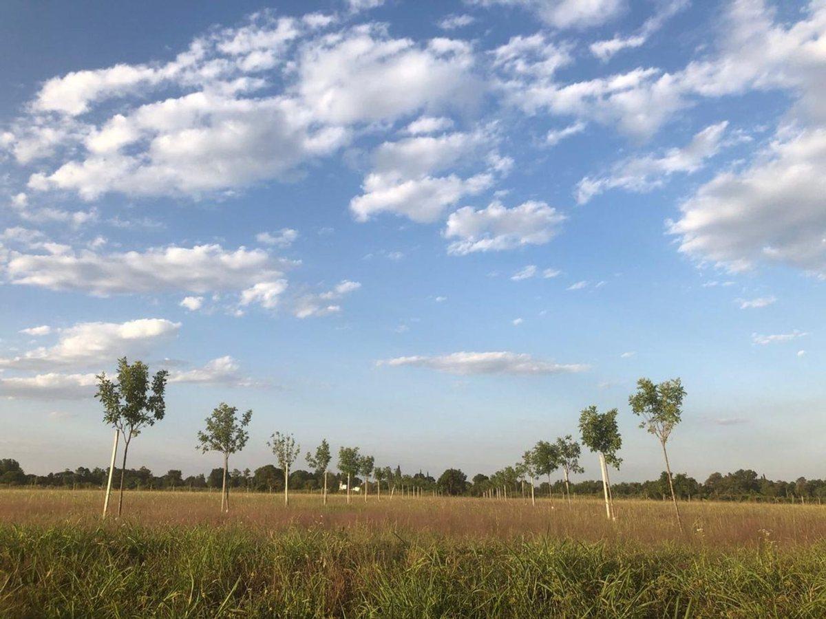 Foto de VENTA DE TERRENO AMPLIO EN BARRIO "EL NACIENTE", imagen 3