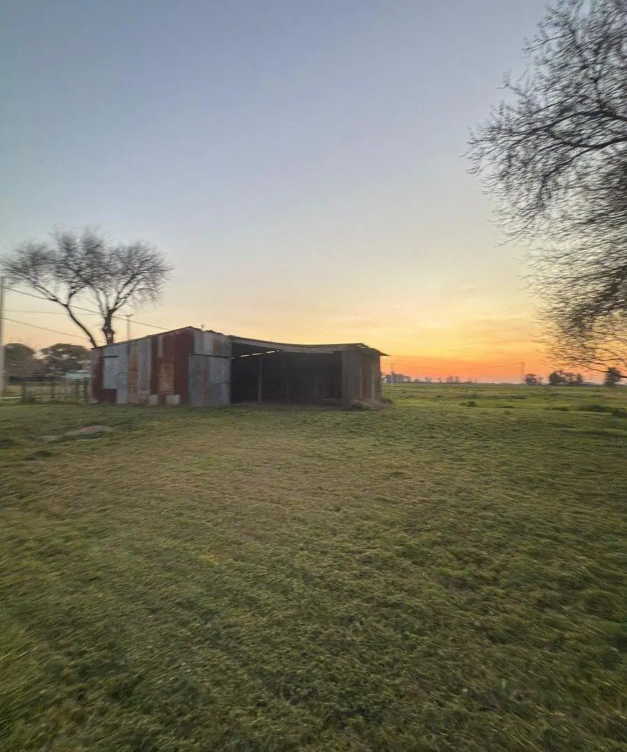VENTA GALPÓN+CASA REFACCIONAR - NUEVO TORINO 3