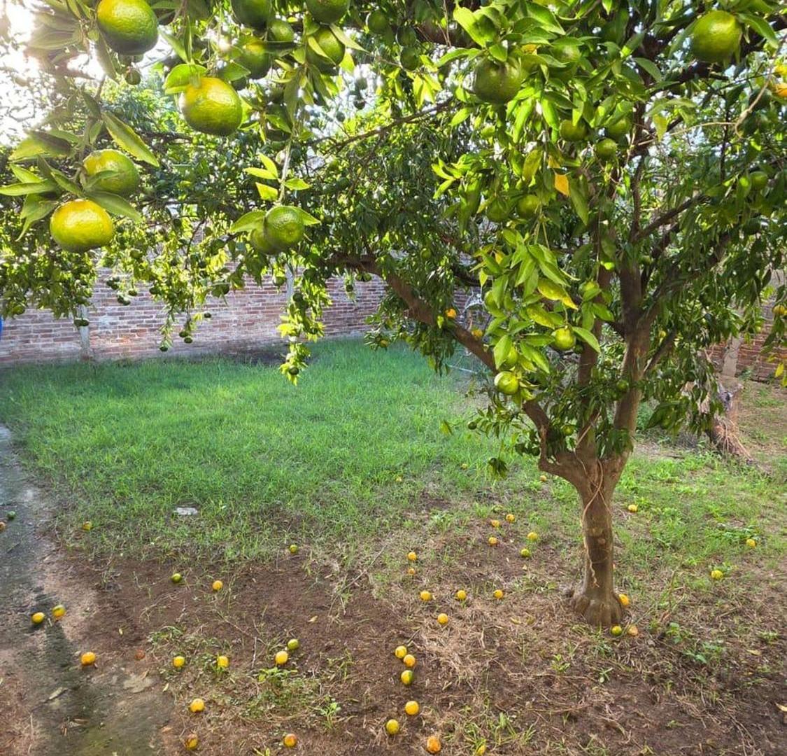 Foto de venta de casa céntrica en Pilar, imagen 3