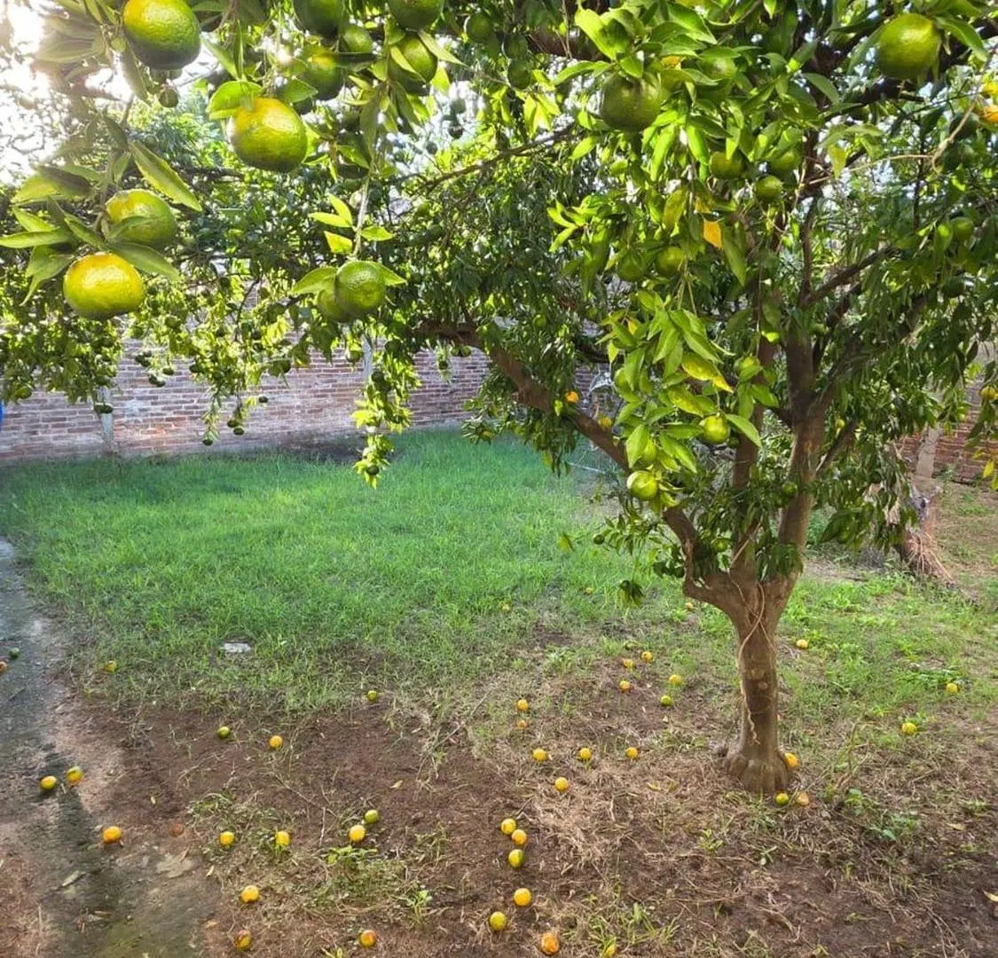 venta de casa céntrica en Pilar 3