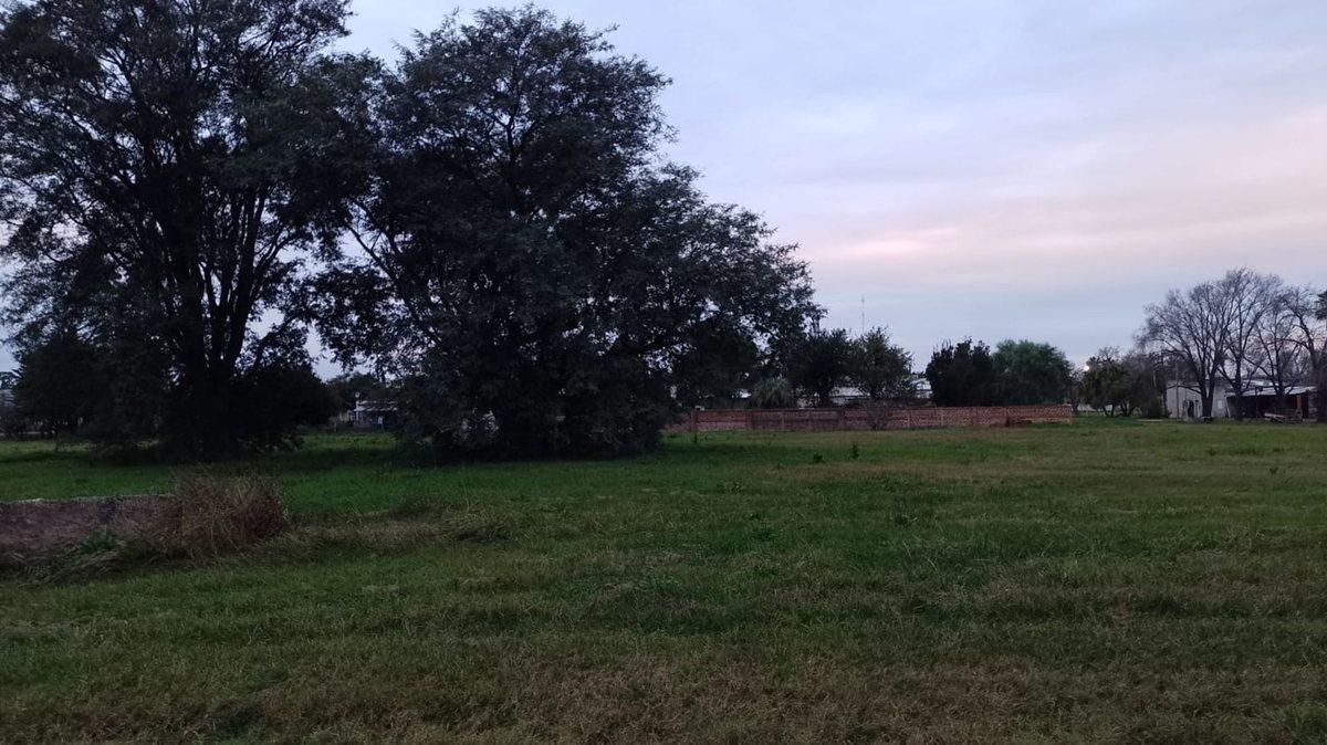 Foto de VENTA TERRENO en NUEVO TORINO, imagen 1