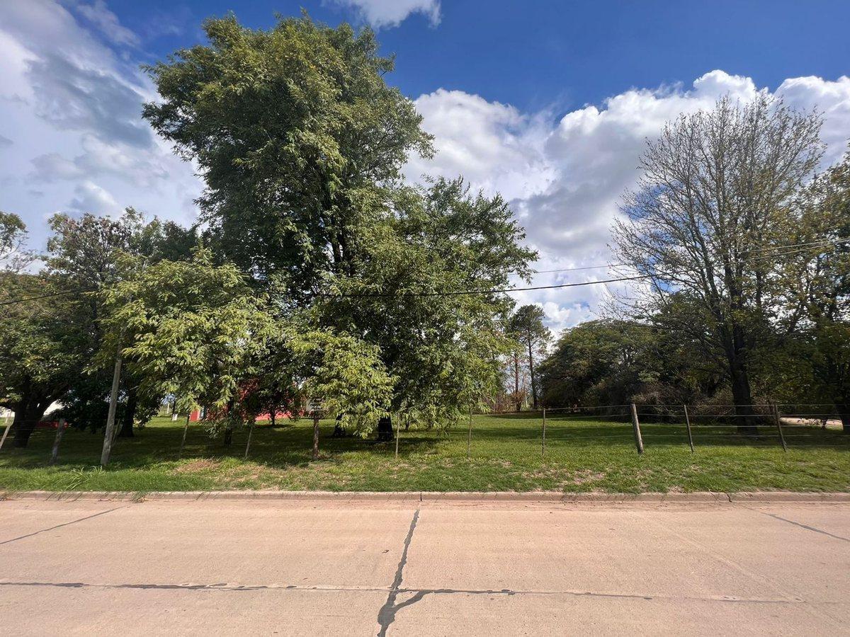Foto de TERRENO EN VENTA, imagen 5