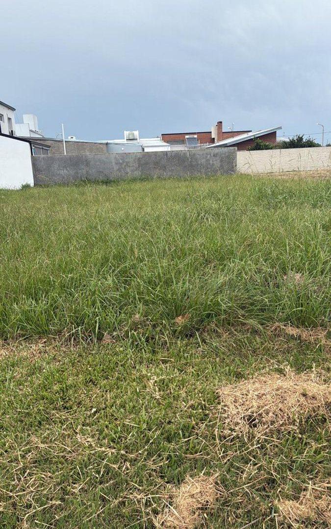 Foto de VENTA TERRENO EN BARRIO ESTE SOBRE AV. ARGENTINA, imagen 4