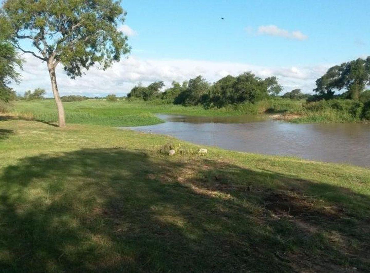 Foto de VENTA CAMPO, 400 has, Isla San Javier, Escriturabl, imagen 1