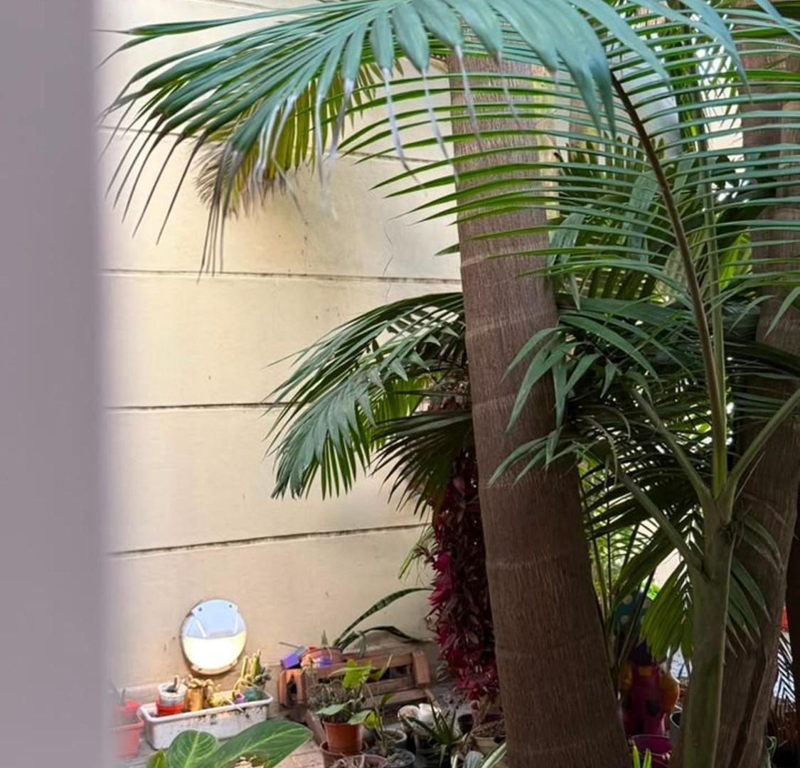 Foto de Venta casa Familiar - excelente ubicación, imagen 3