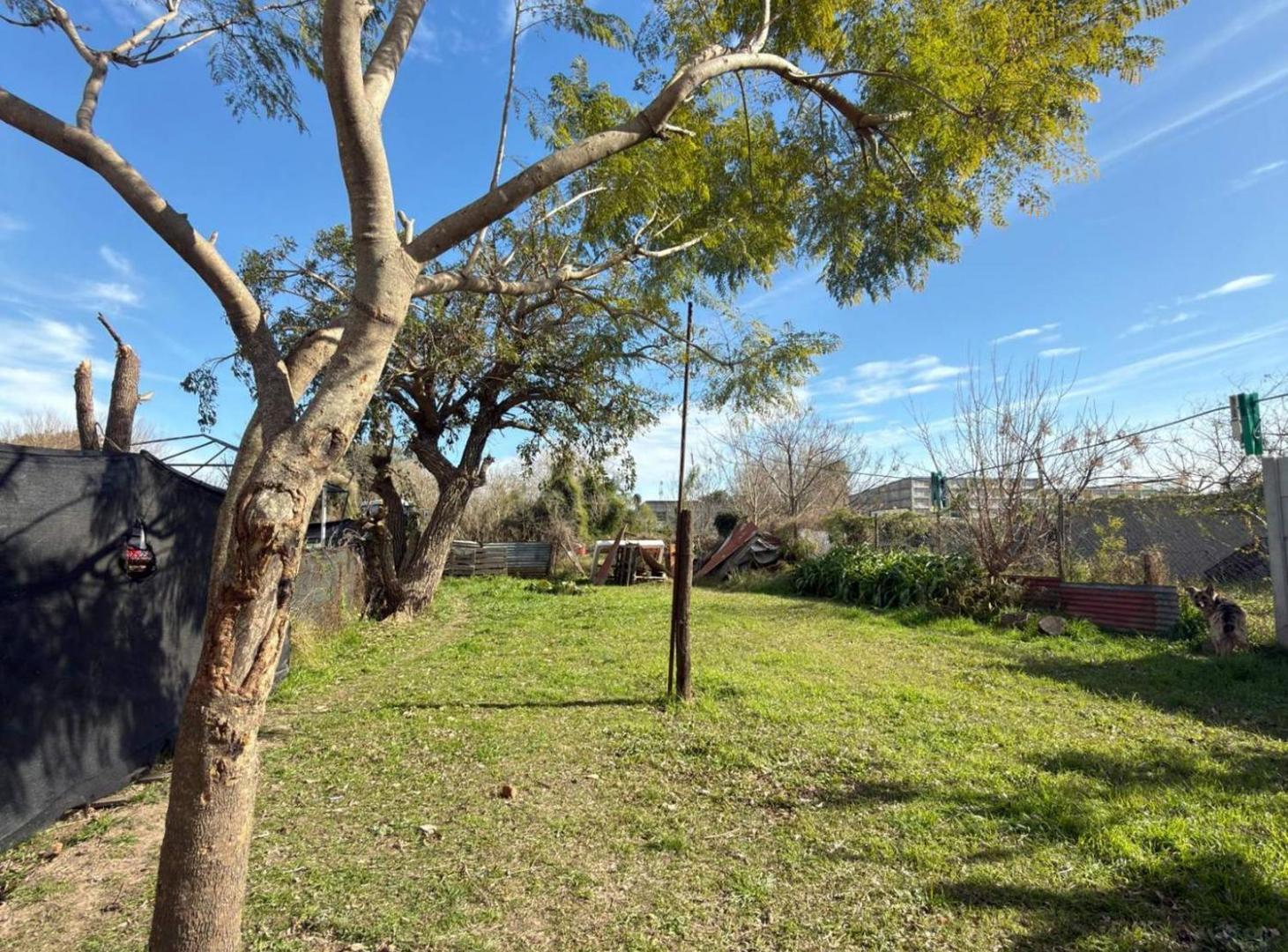 Foto de VENTA DE CASA CON AMPLIO TERRENO EN PILAR, imagen 5