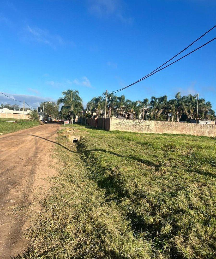 Foto de VENTA TERRENO ZONA PARQUE, imagen 3