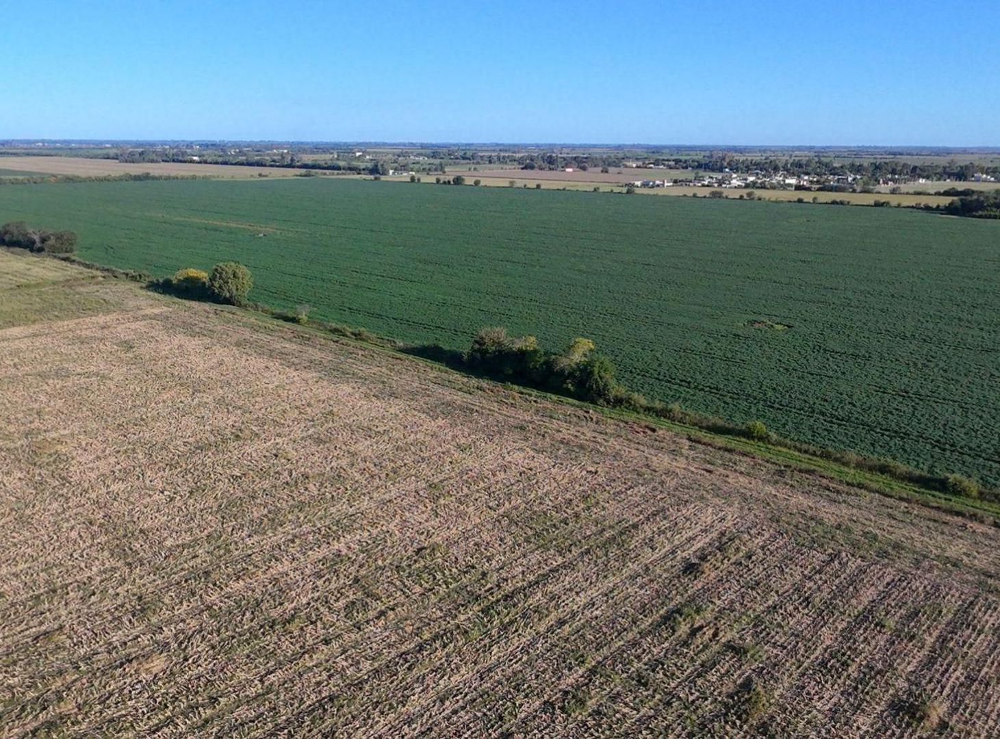 Foto de VENTA CAMPO suelo 1/2 - Esperanza, imagen 3