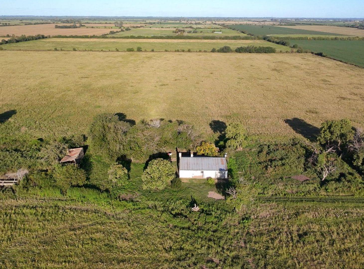 Foto de VENTA CAMPO suelo 1/2 - Esperanza, imagen 1