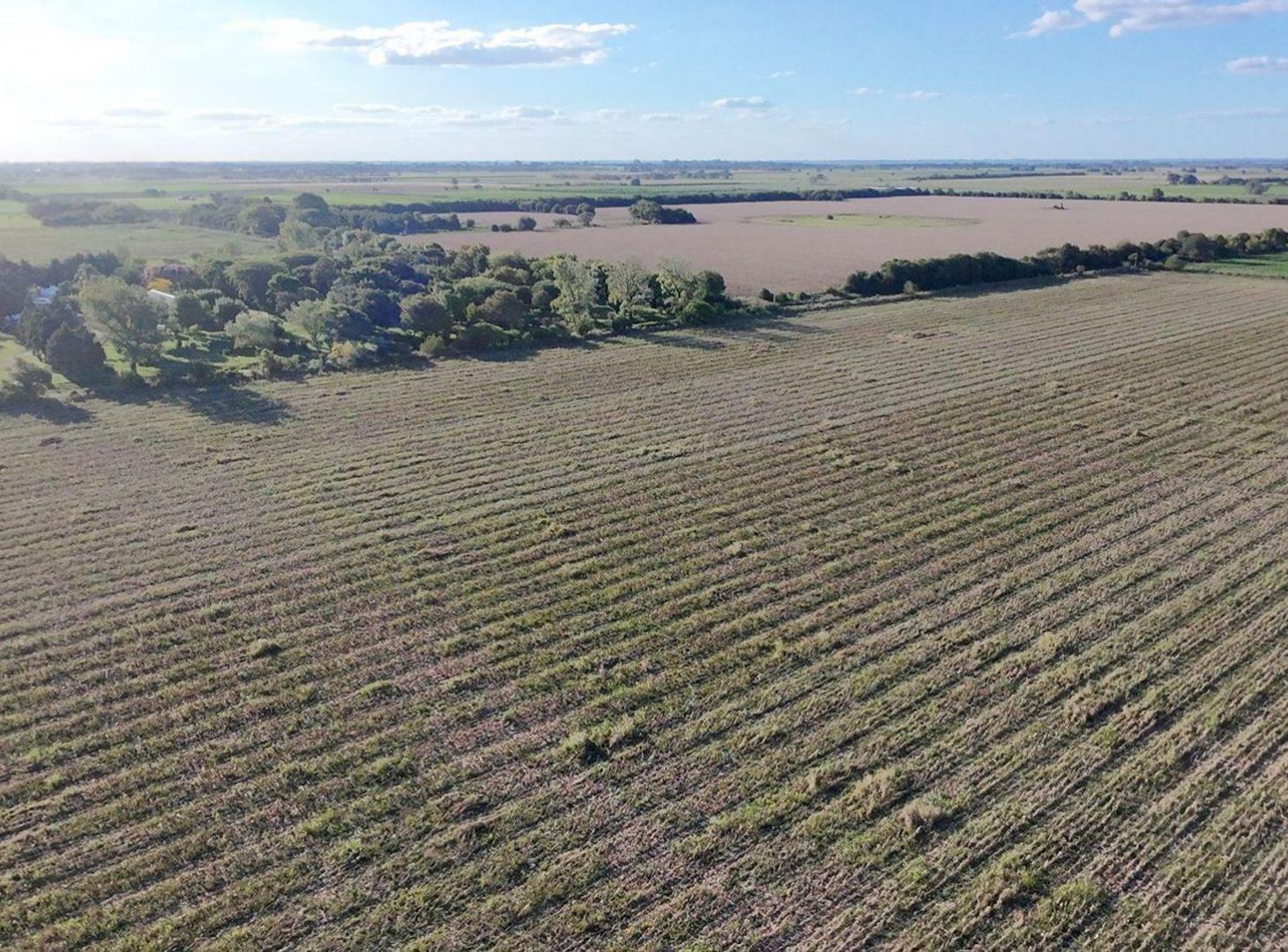 Foto de VENTA CAMPO suelo 1/2 - Esperanza, imagen 4