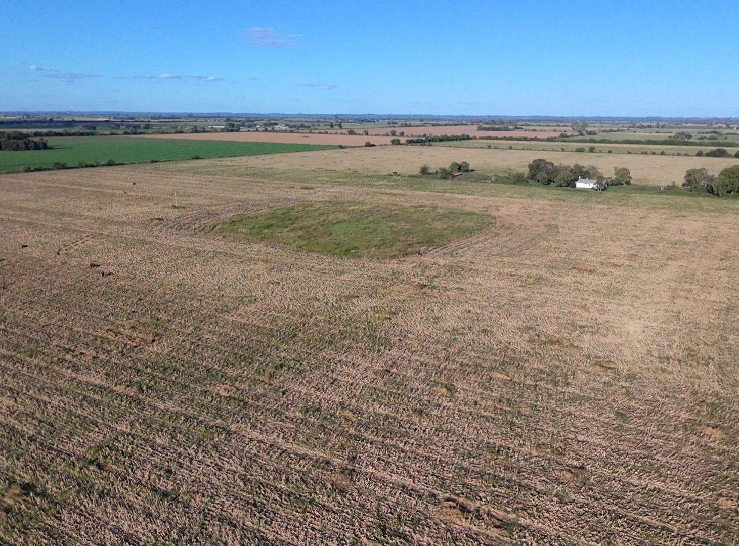 Foto de VENTA CAMPO suelo 1/2 - Esperanza, imagen 5