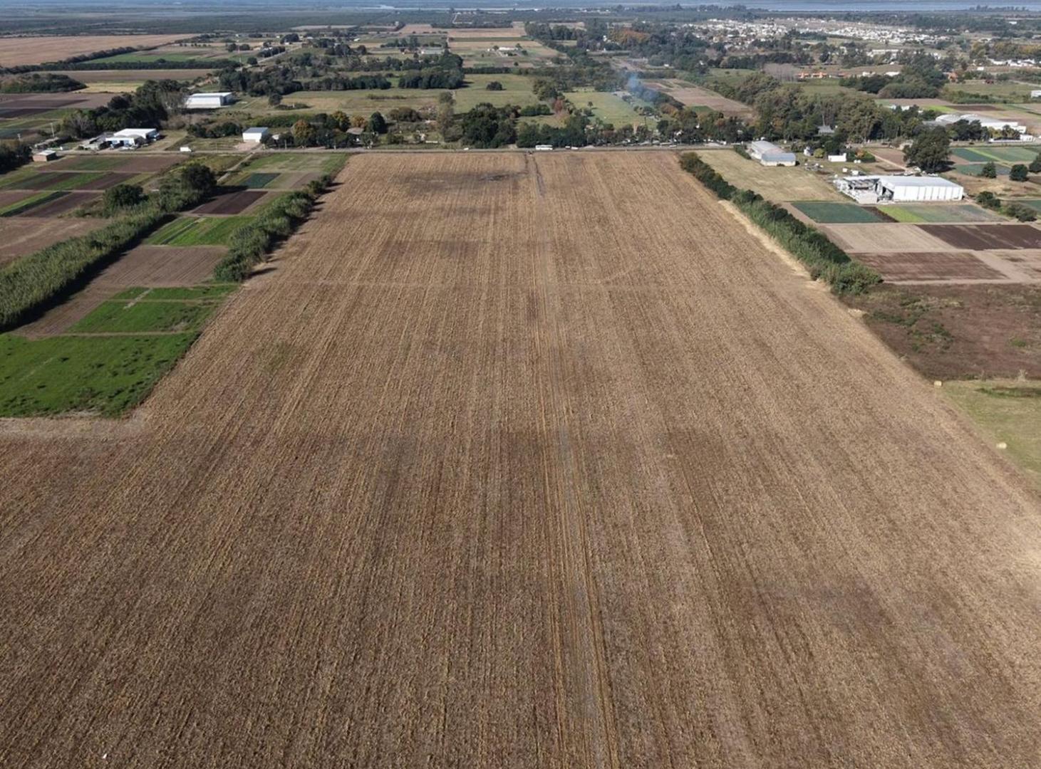 Foto de VENTA CAMPO RUTA 2 C/ PROYECTO APROBADO LOTEO INDU, imagen 5