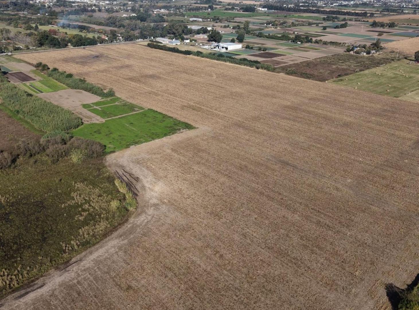 Foto de VENTA CAMPO RUTA 2 C/ PROYECTO APROBADO LOTEO INDU, imagen 4