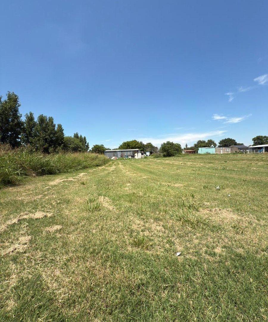 Foto de VENTA DE LOTES EN FELICIA, imagen 3