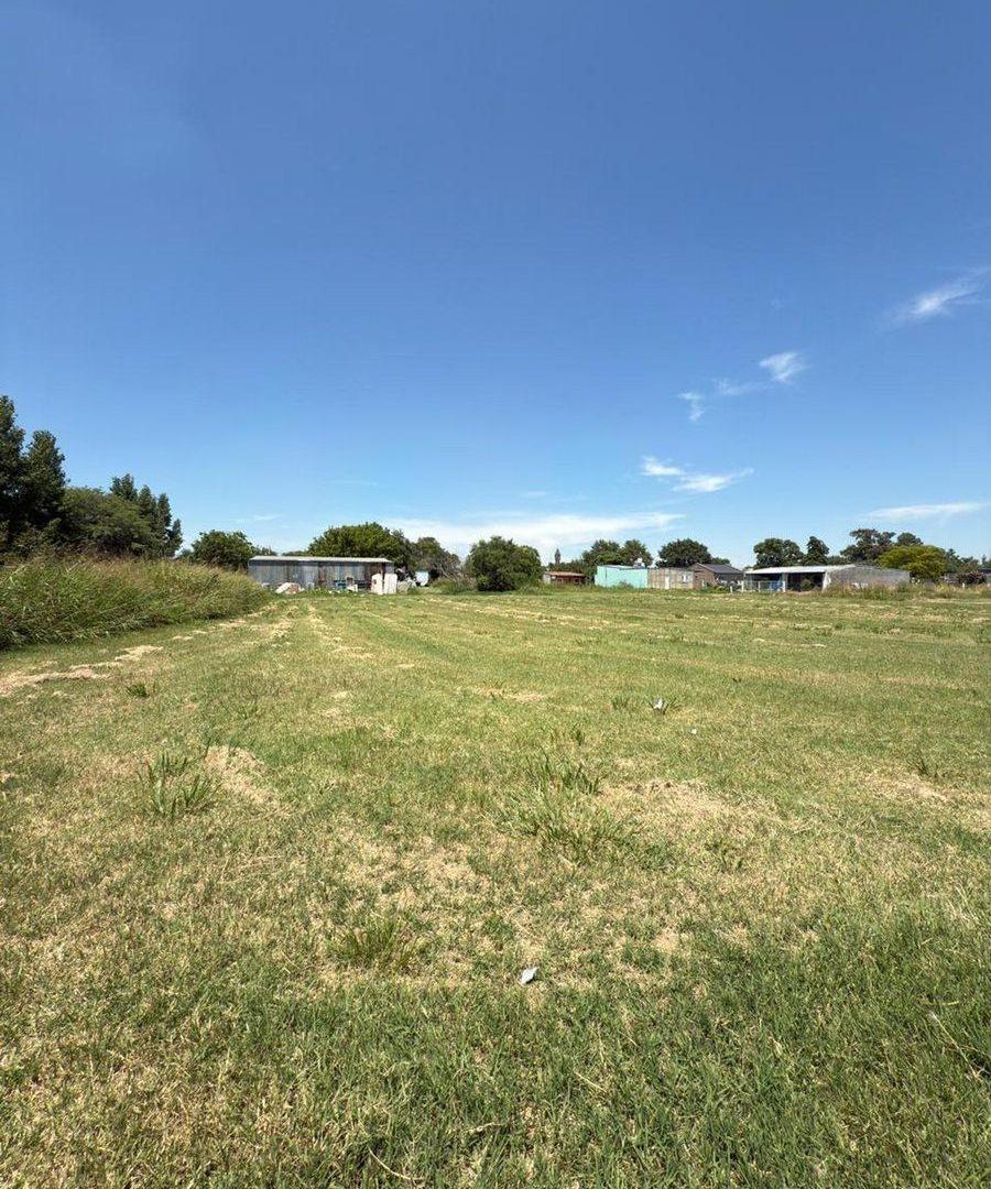 Foto de VENTA DE LOTES EN FELICIA, imagen 1