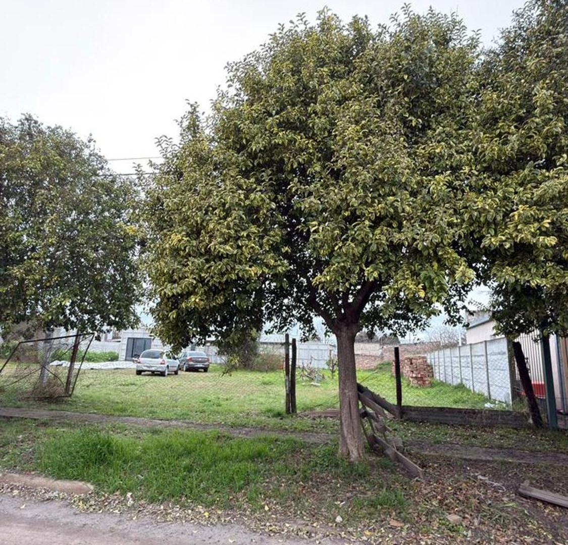 Foto de VENTA DE LOTE AMPLIO EN PILAR, imagen 1