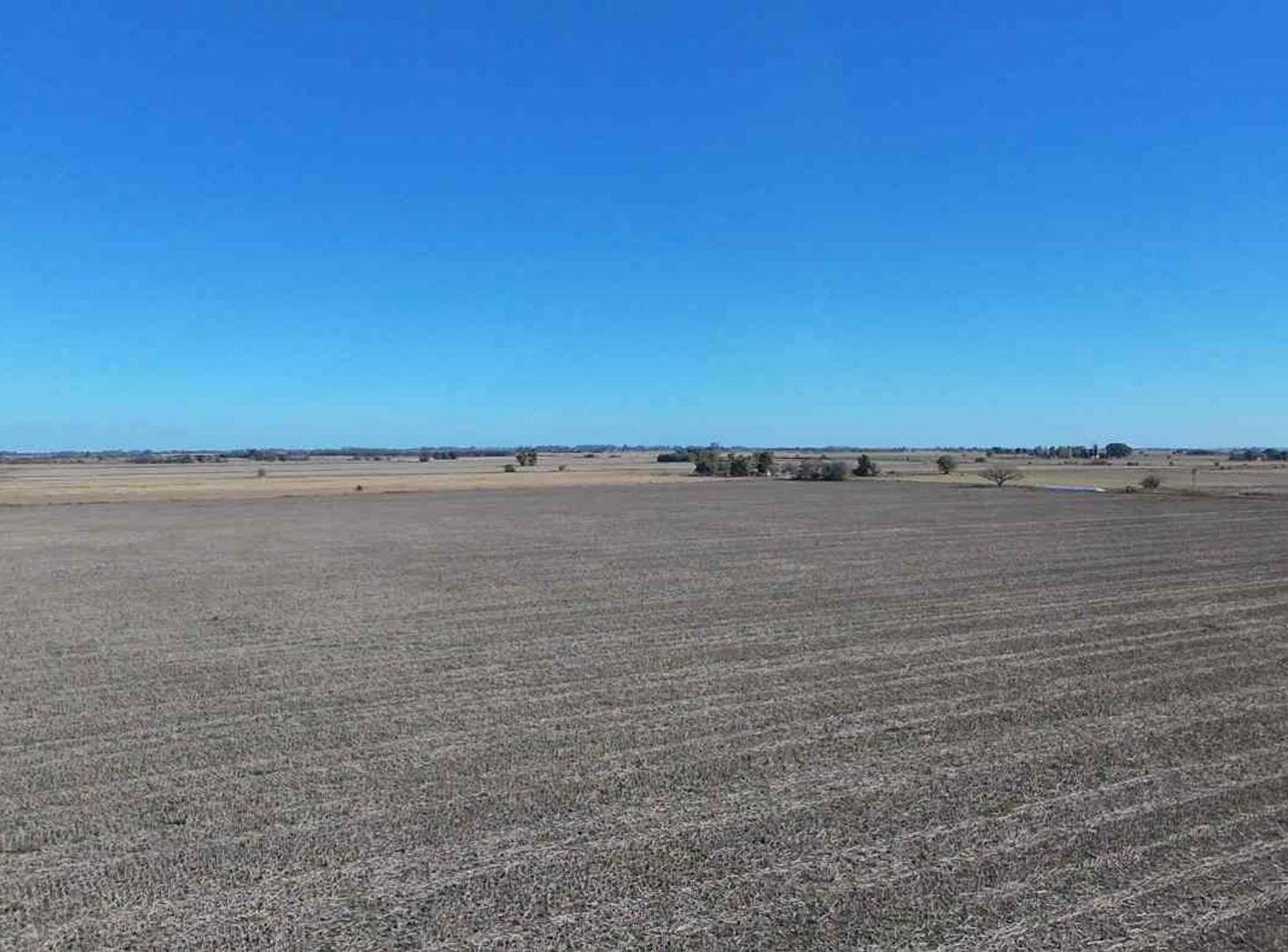 Foto de VENTA campo agrícola en Llambi Campbell, imagen 4