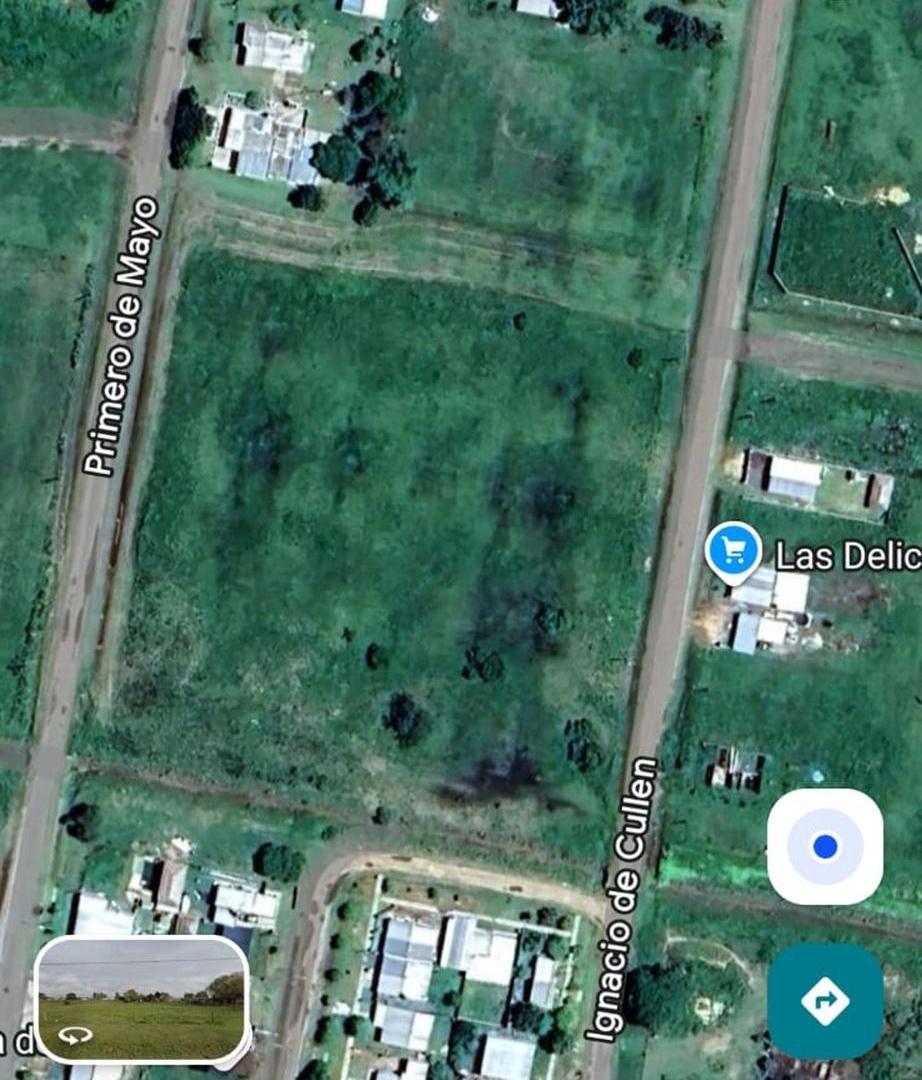 Foto de VENTA DE UNA HECTAREA EN NELSON, imagen 1