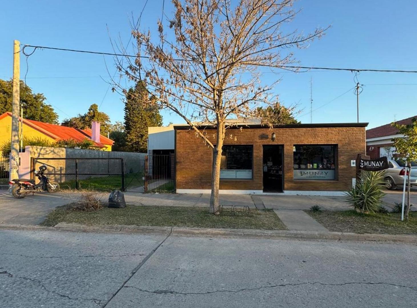 Foto de VENTA CASA CON LOCAL HUMBOLDT, imagen 2