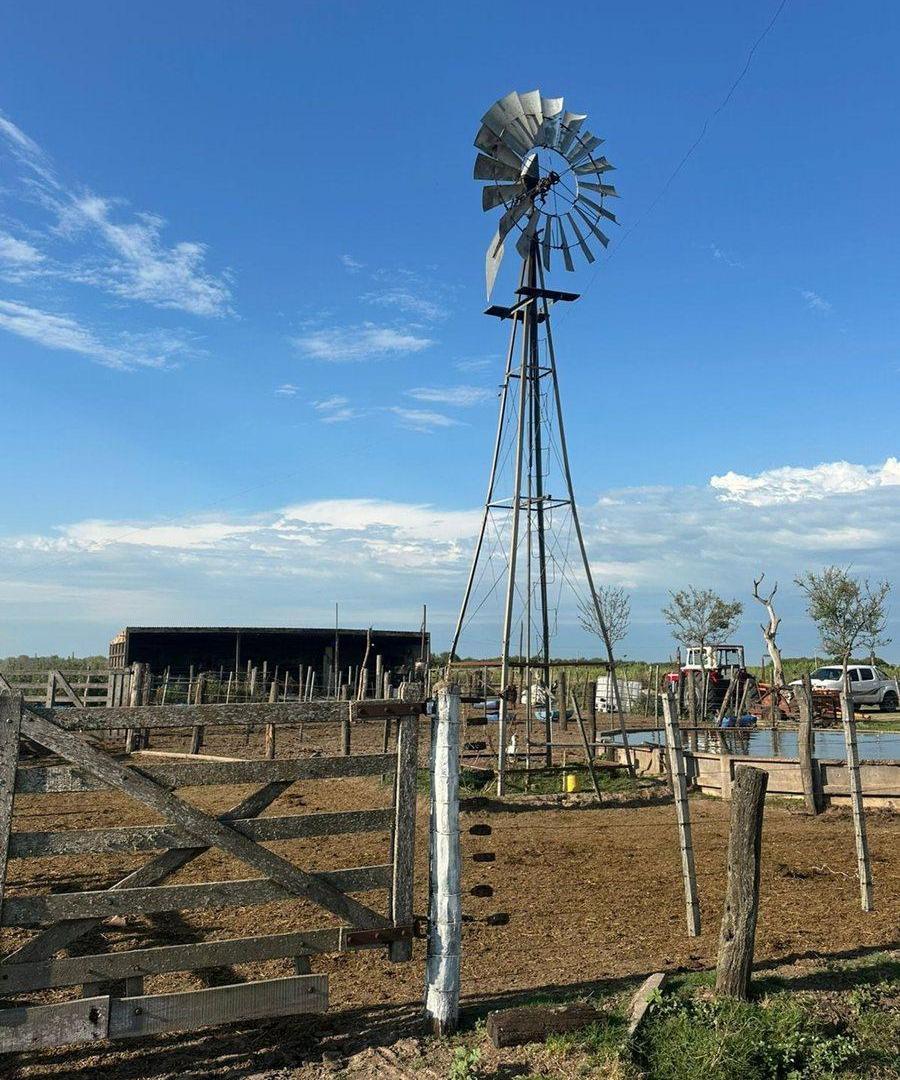 Foto de VENTA DE CAMPO EN SAN JERONIMO DEL SAUCE 252 has, imagen 2