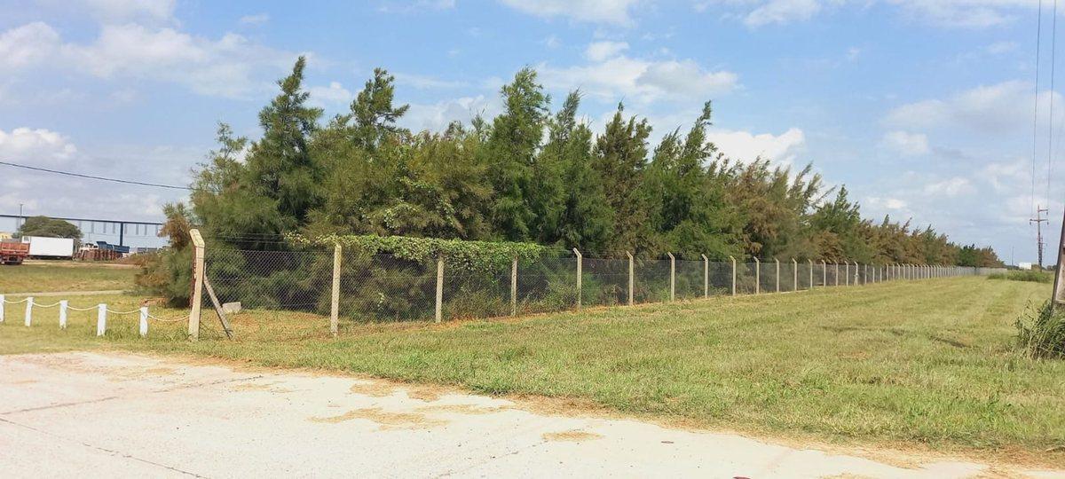 Foto de VENTA TERRENO EN PARQUE INDUSTRIAL DE ESPERANZA, imagen 3