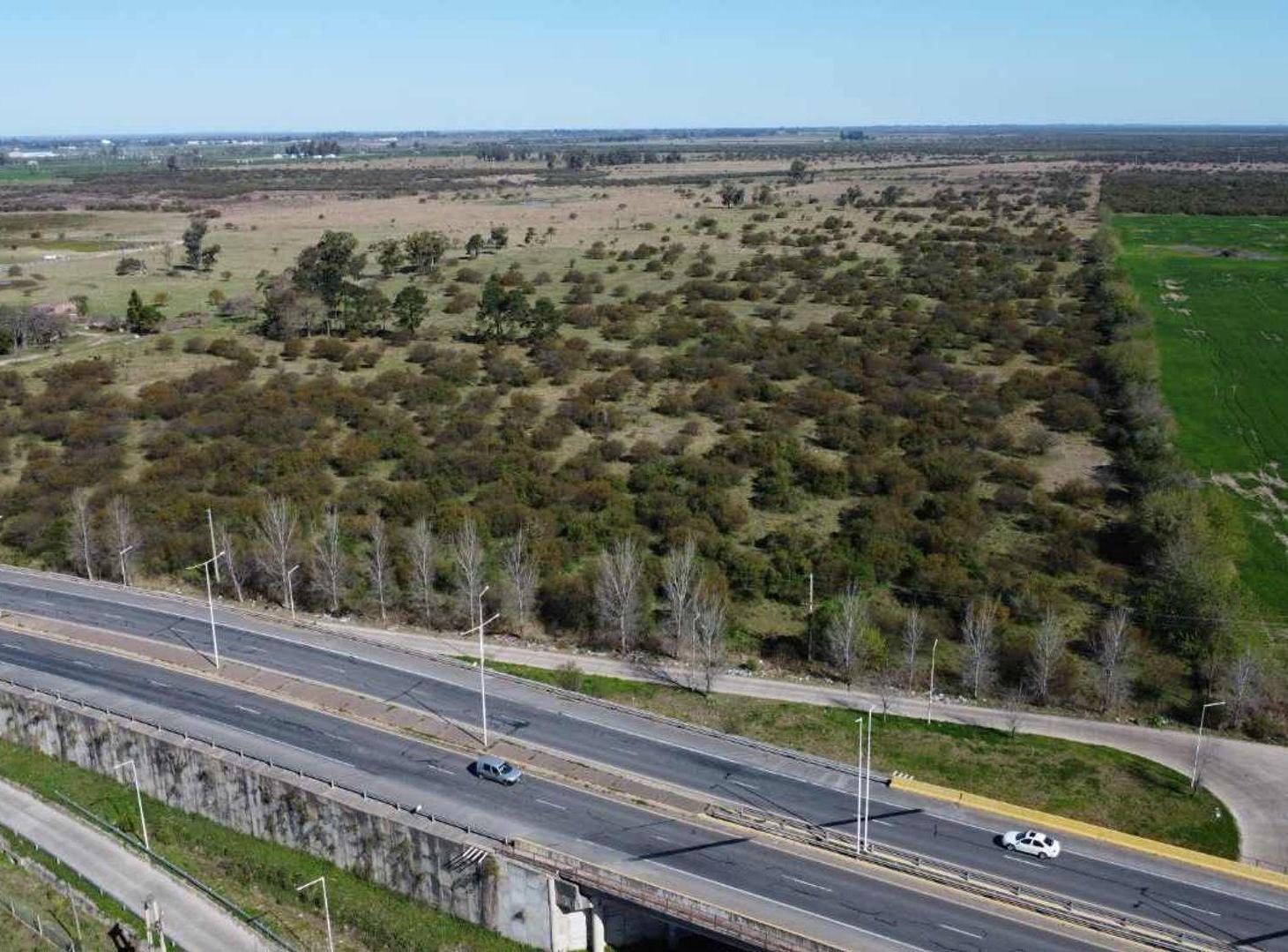 Foto de Venta 15ha. Zona industrial - Autovia 19, imagen 1