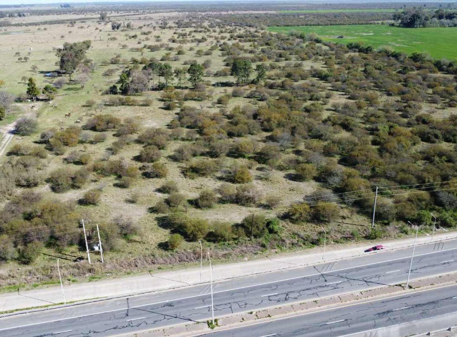Foto de Venta 15ha. Zona industrial - Autovia 19, imagen 4