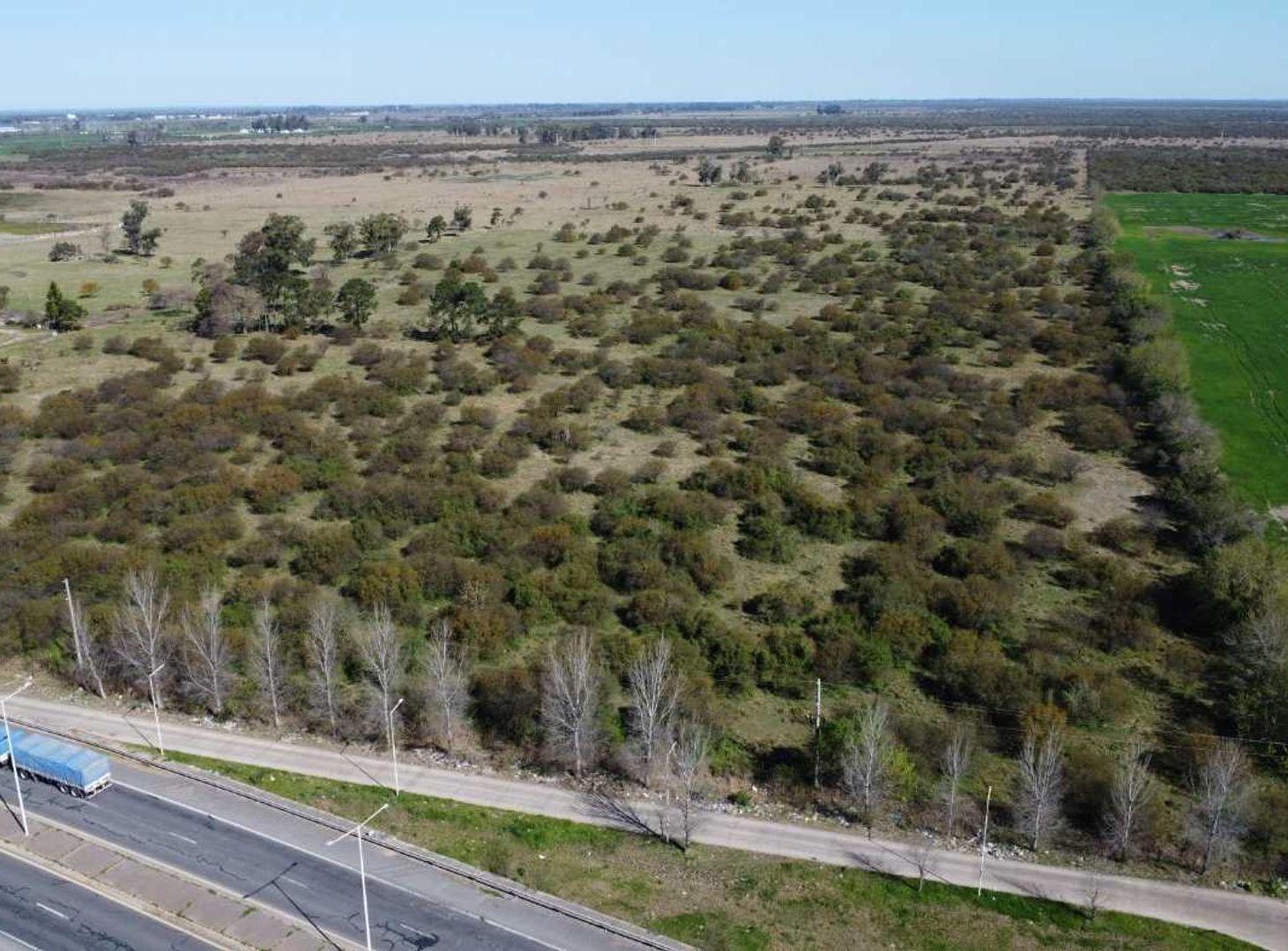 Foto de Venta 15ha. Zona industrial - Autovia 19, imagen 2