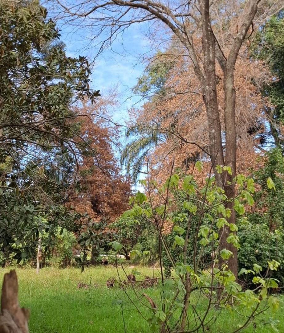 Foto de Venta Terreno Barrio Anahí 650m2, imagen 4