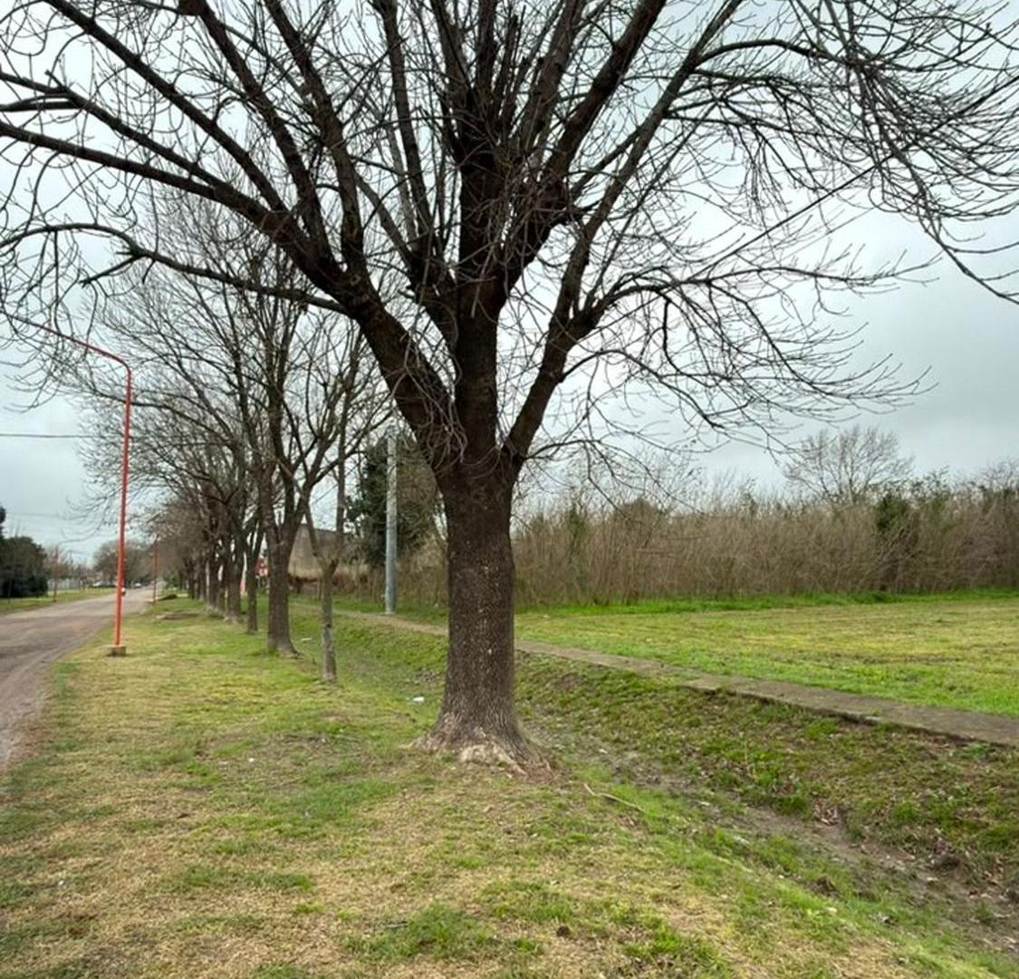 Foto de VENTA DE MACIZO EN PILAR, imagen 4