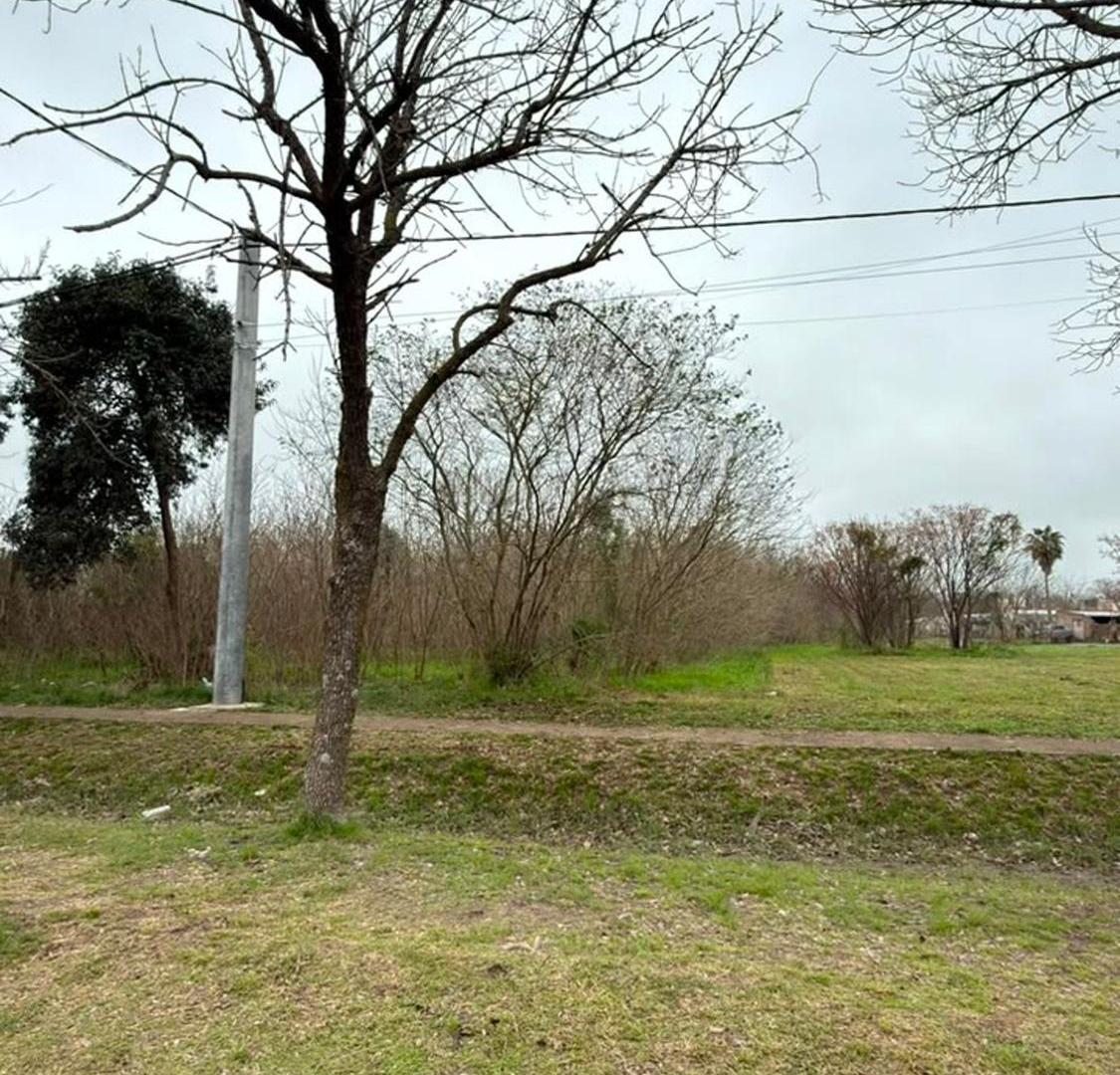 Foto de VENTA DE MACIZO EN PILAR, imagen 3