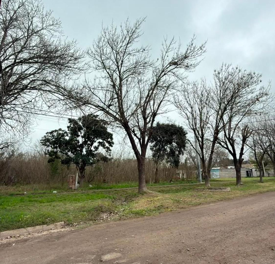 Foto de VENTA DE MACIZO EN PILAR, imagen 2