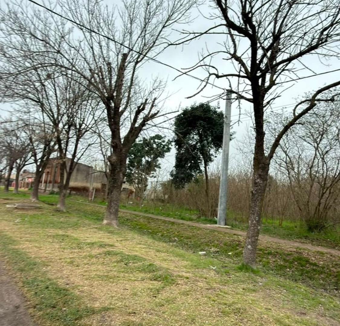 Foto de VENTA DE MACIZO EN PILAR, imagen 5