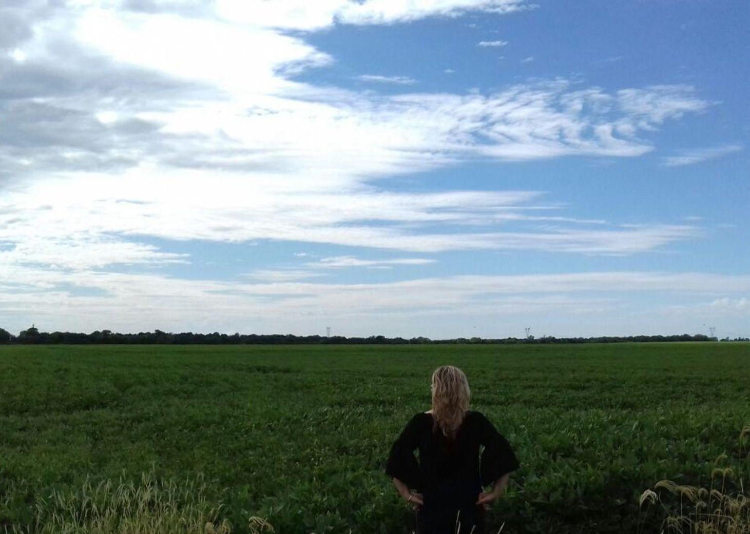 Foto de VENTA EXCELENTE CAMPO AGRICOLA, RUTA 11, MARC. ESC, imagen 3