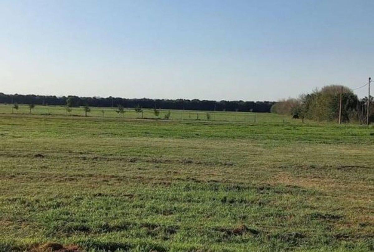 Foto de VENTA TERRENO - Lote II - Pujato Norte.-, imagen 1